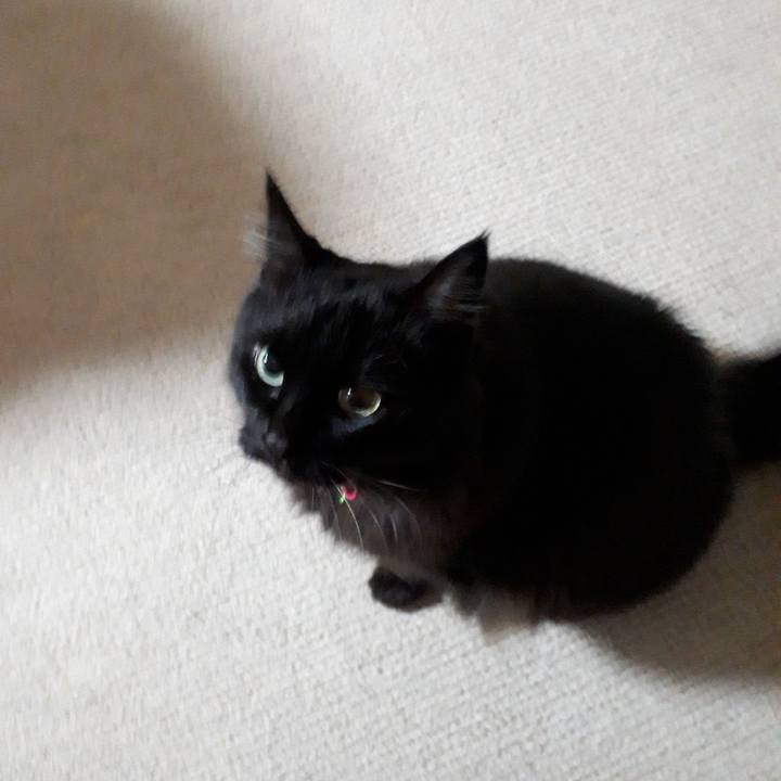 F2237fb5 4ad7 4af2 8af8 cee051d4099a 1517406290973