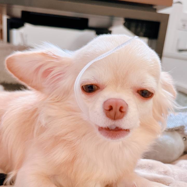 F223806b c01f 44cf ac2d 7755dfd0df2a 1661322856892