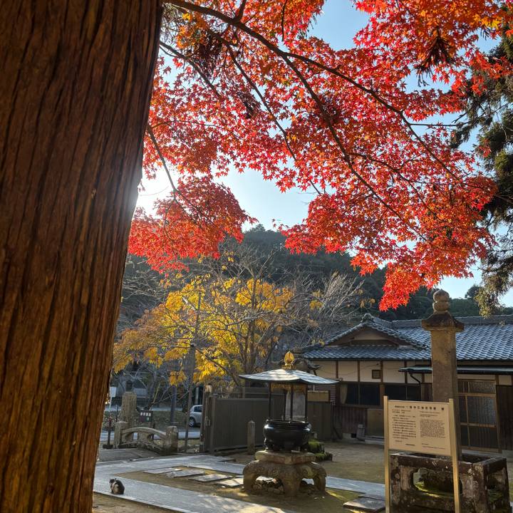 F2239154 f2b2 4d7c 84f3 e926845ec8d6 1764584595332