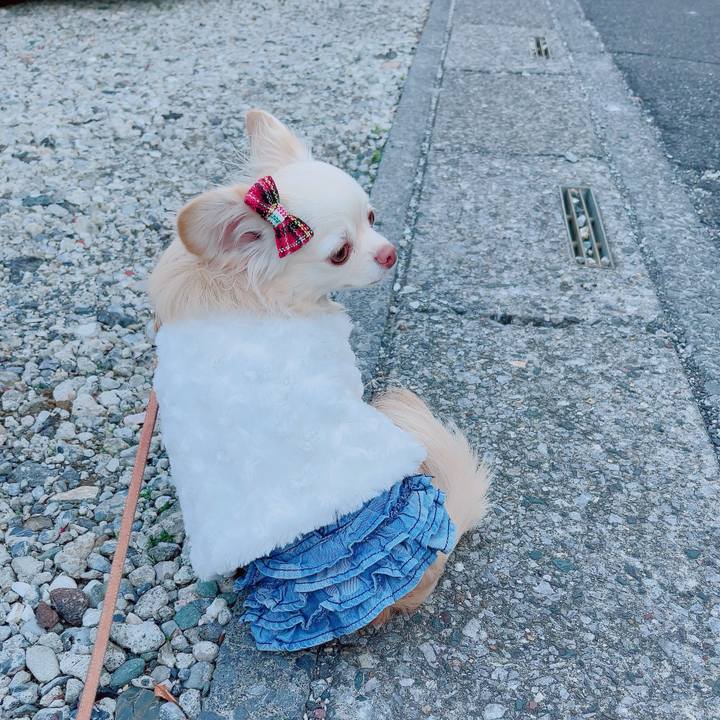 F2239e53 33d6 4afb 915d f84f8c79b634 1702897530060