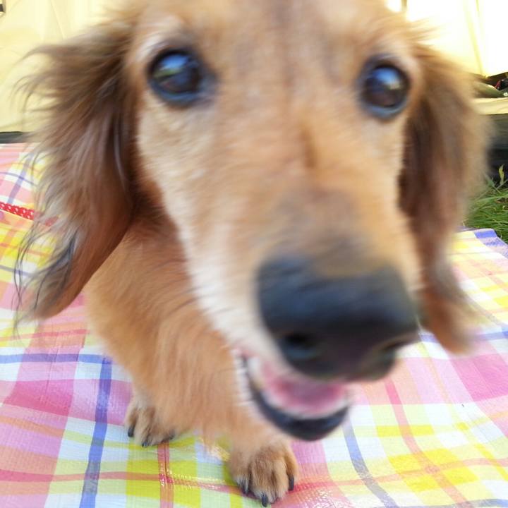 F223b6b6 3e21 4332 817b 624aca2cab99 1570107135950