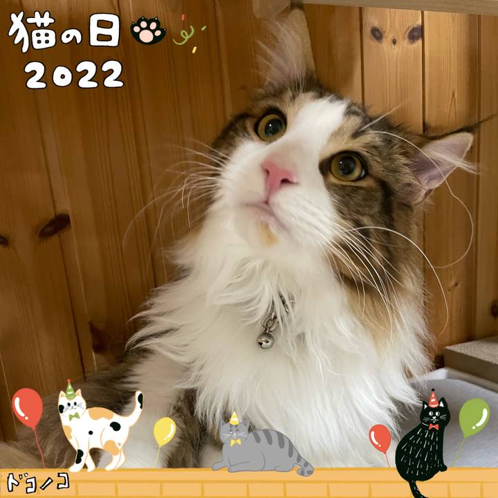 F223e435 aaf9 48f3 84be 97fb0ef65aac 1645563727124