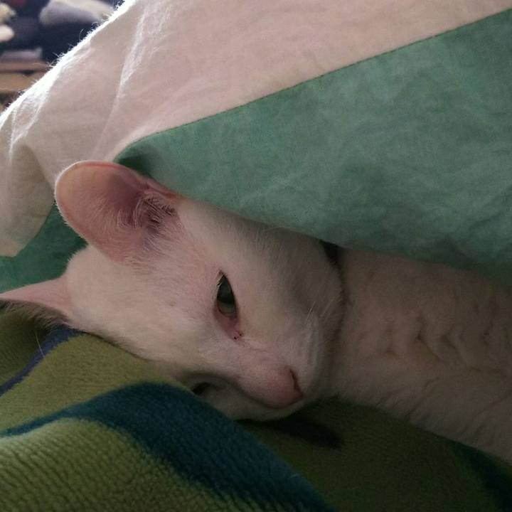 F2242bde 9316 4e46 84aa fc98adf08c5f 1523025074084