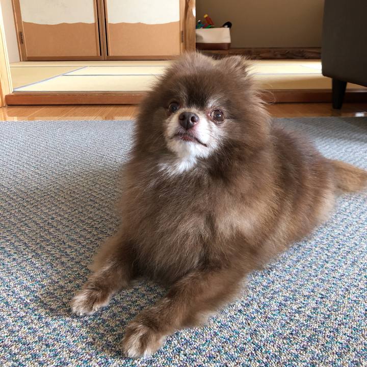 F2243375 7b04 45f2 bd68 074855e6abd2 1563253105135