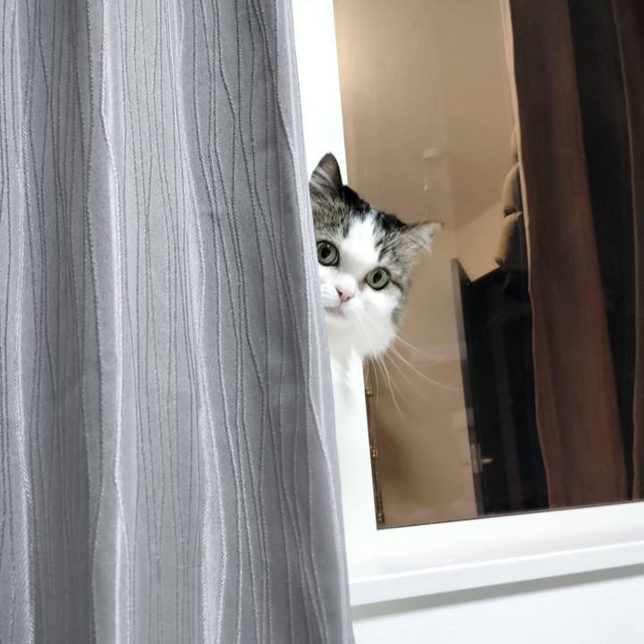 F2244b61 447e 4aaf abb0 d32bd79d4a99 1771017779331