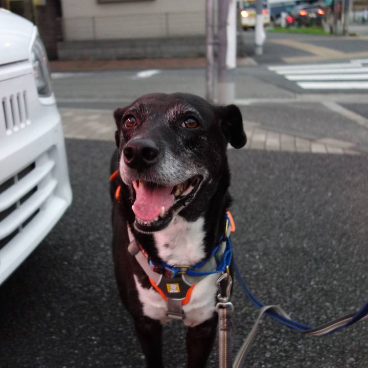 F2249877 a255 423c b296 5e7158070304 1752231630620