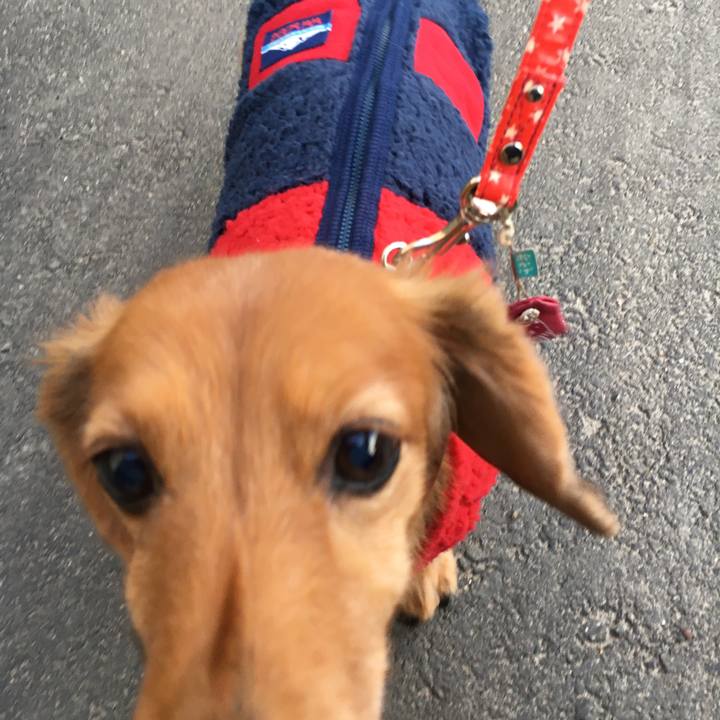 F2249b57 7e9e 43ea b721 a89382f0a041 1579431846113