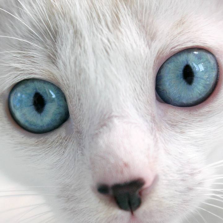 F224b6fa b05e 4548 83be 2baa351a37d3 1598616150280