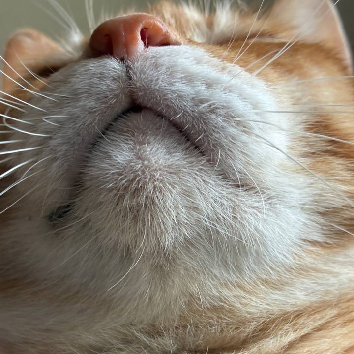 F224f0b4 c930 4229 a7dd cdfad523aadb 1760762498803