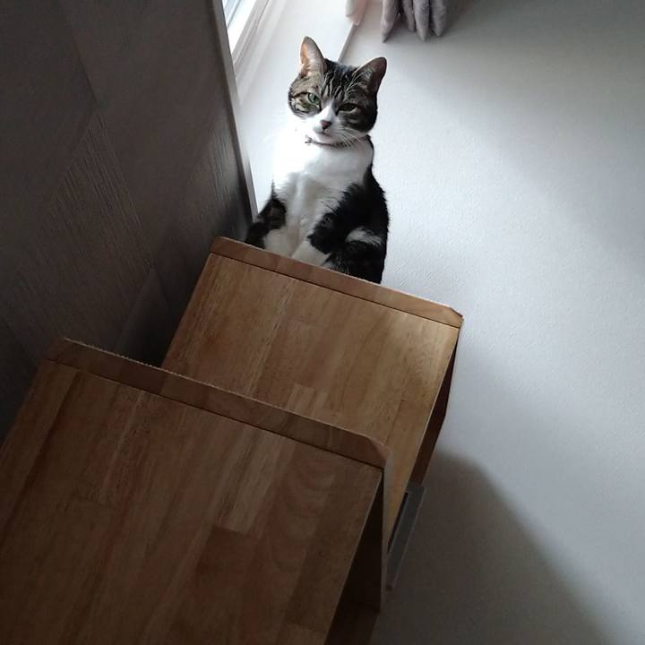 F225081d 2e6f 4b2f 91e2 80a023fa2aa0 1703488602862