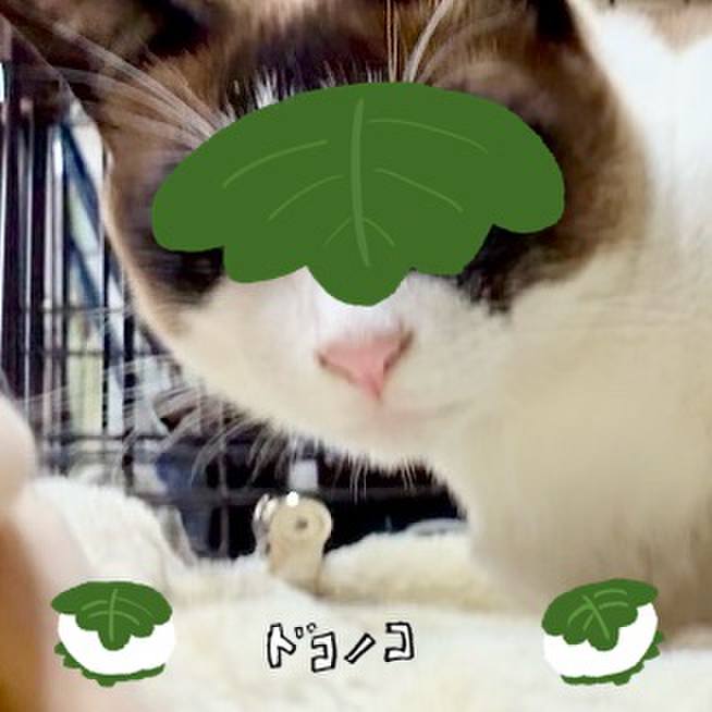 F2253cca 9a63 4ab6 85d9 7a8dc9c4f562 1749090263623