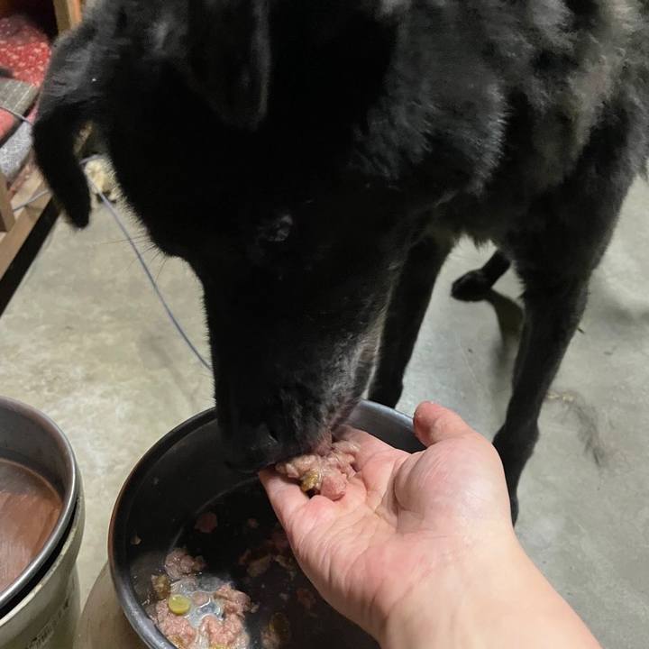 F2257e9e de47 49c9 a1a8 308fdea66773 1654642683947