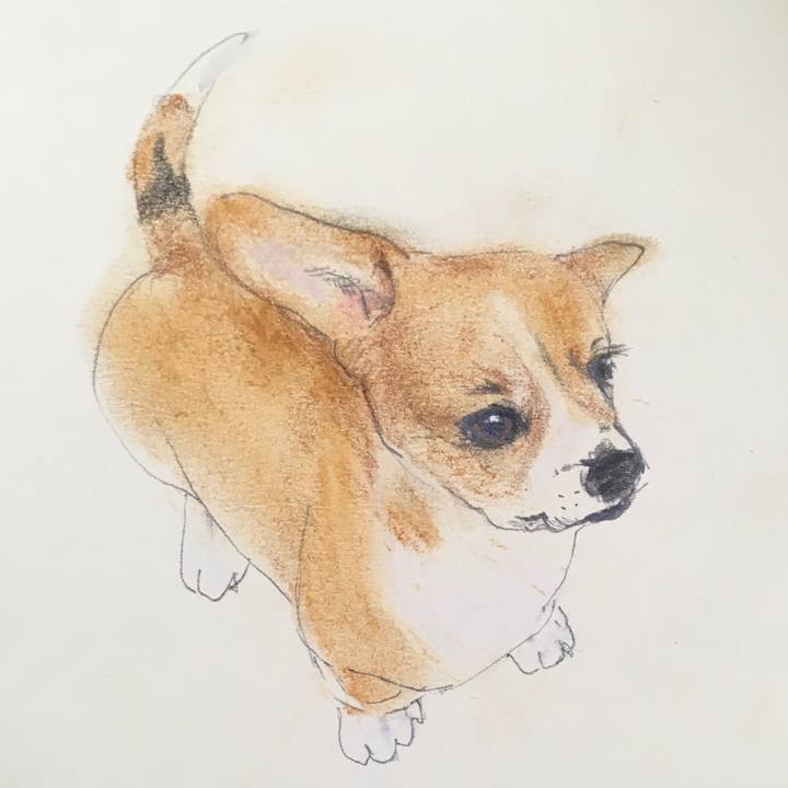 F225853a 4e46 438f 9c9c 9aa7addf80a9 1591191755056