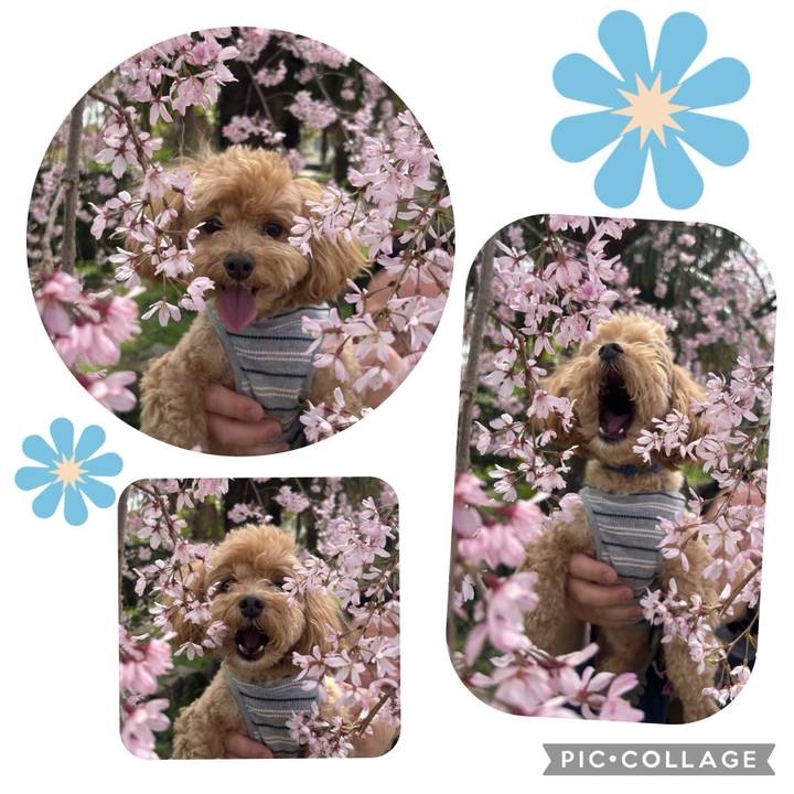 F2259549 ba2e 43ff 8ea9 e7bfe701b550 1712464052584