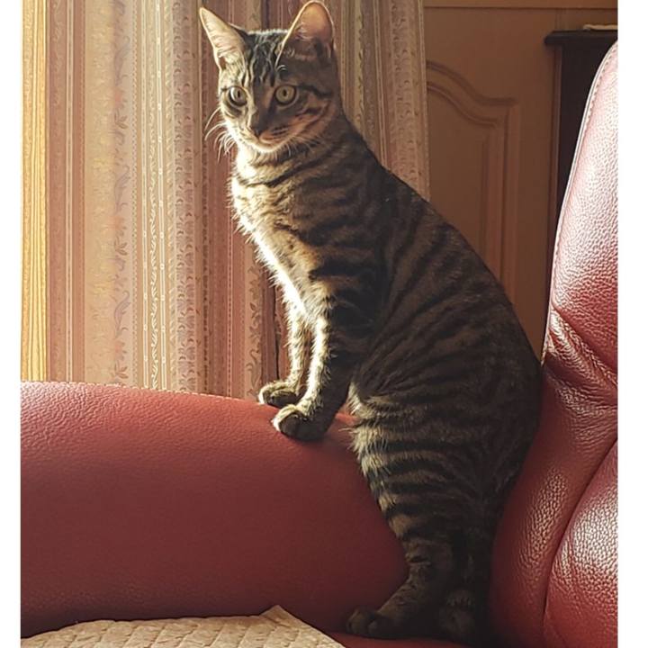 F225a29b bff5 4166 9a06 a9a5174241d7 1543024557233