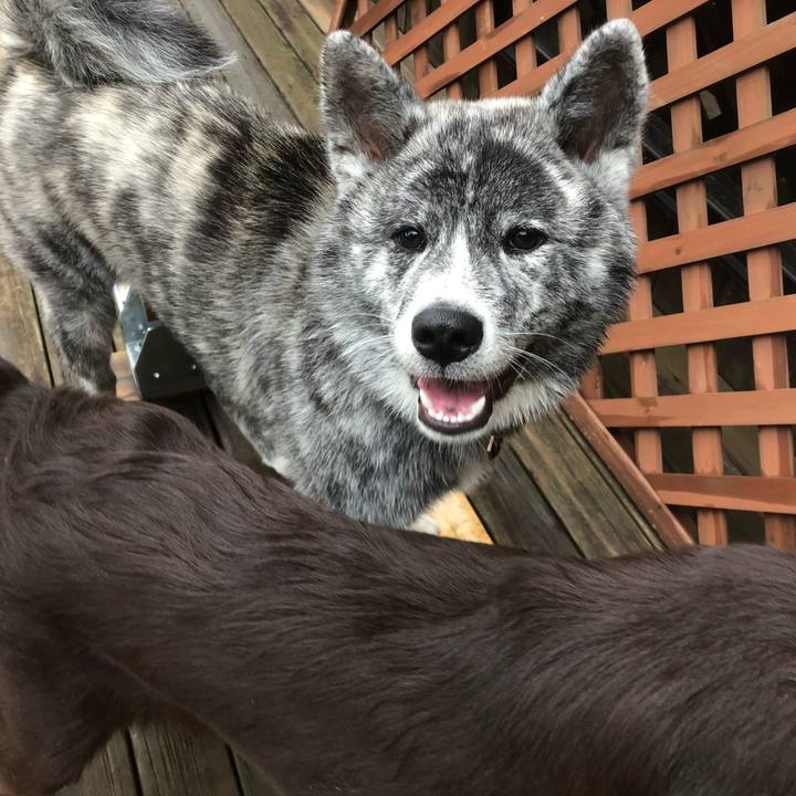 F225b8cc acf5 4c88 b91c 0c26e59aa193 1562374733848