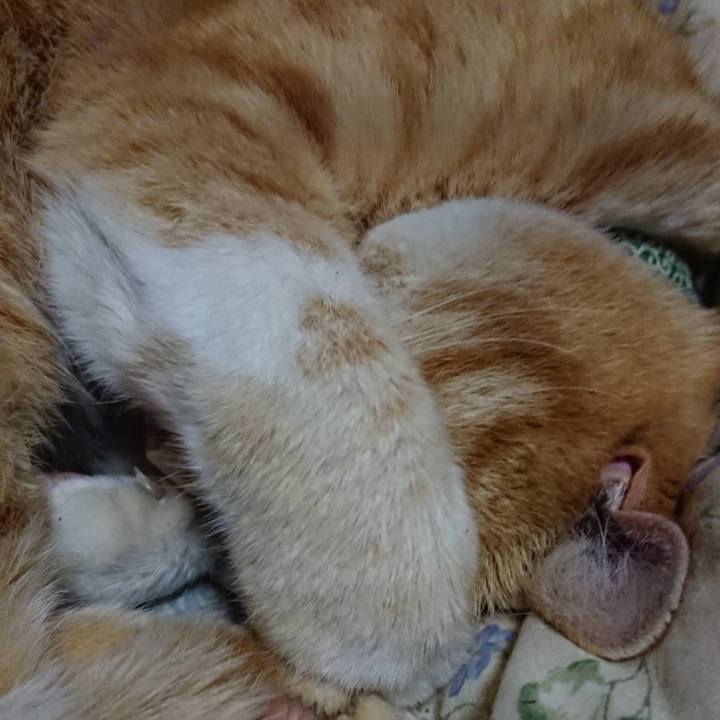 F225c42c e720 4a1b 909d 9e5fb5557acf 1583840144175