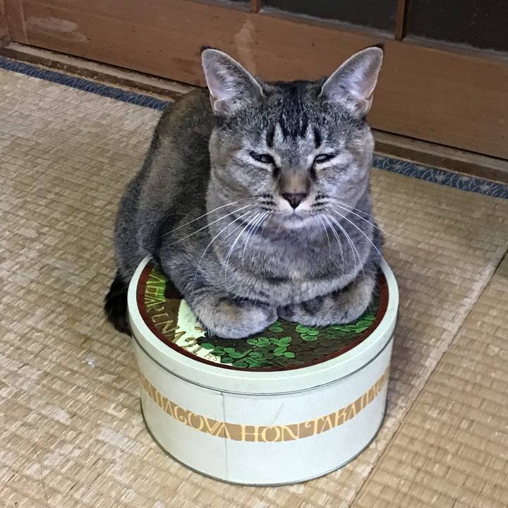 F225defd 5a18 4308 8776 a4911a89be7a 1628326096472