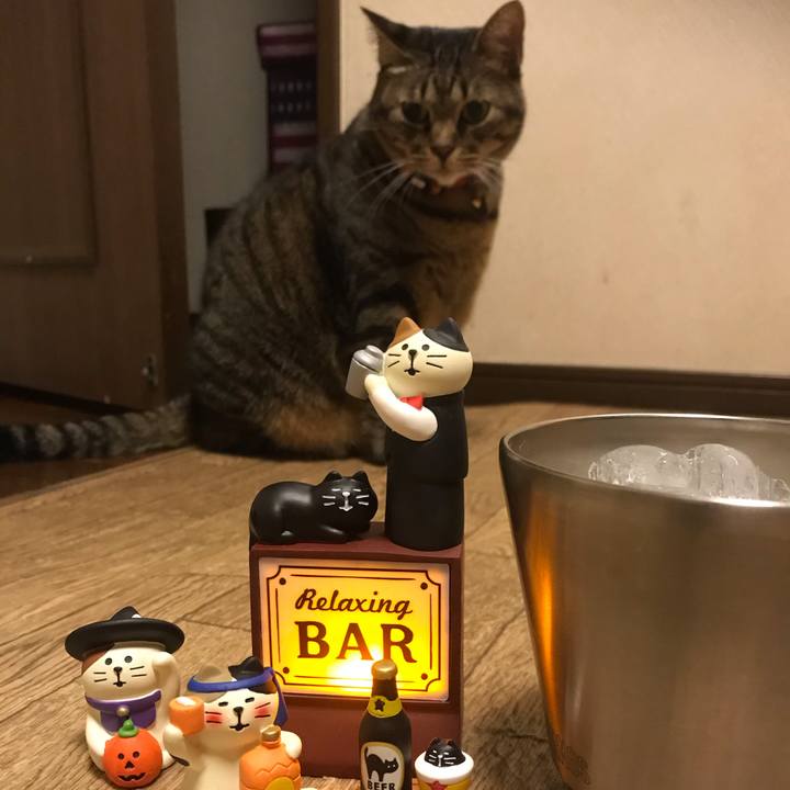 F2260b5f 72f3 4bcc 8261 6ee2b53eabae 1604330562223