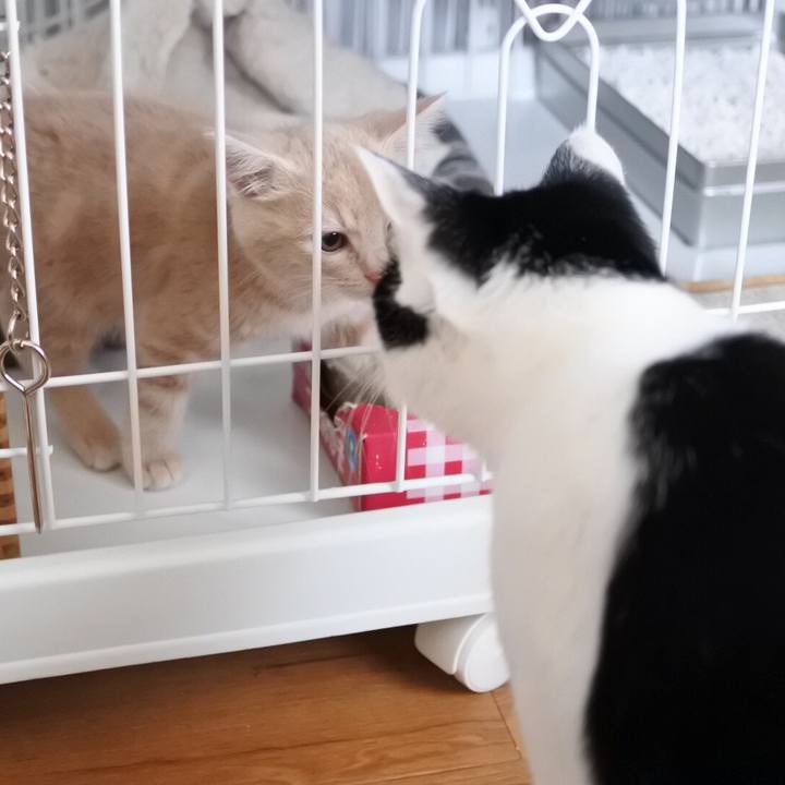 F2262430 faa7 4783 90da e3210db74f09 1542108105684