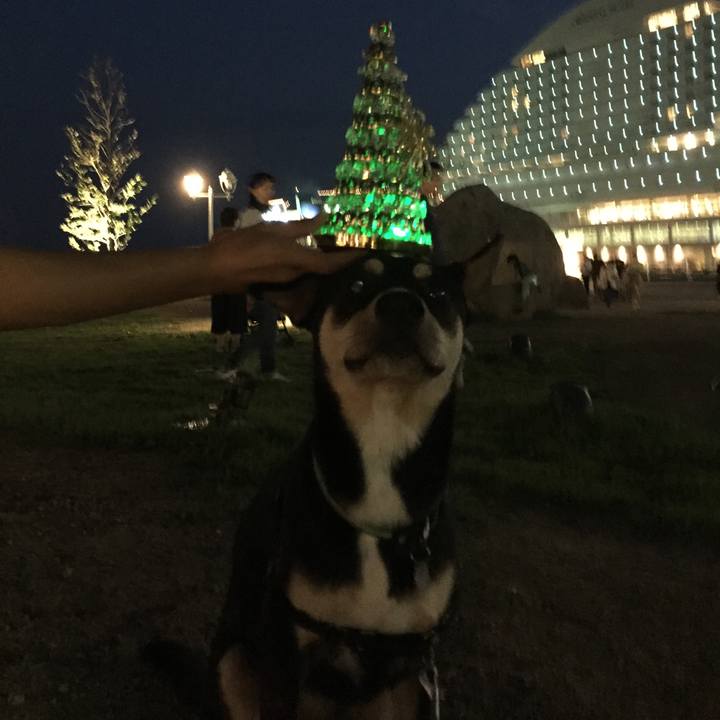 F226274c b0de 418c bcf0 38678e131132 1537274329492