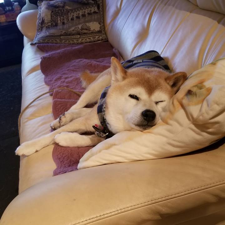 F2262b98 7f05 414d b248 b270a8fb1928 1704191888693