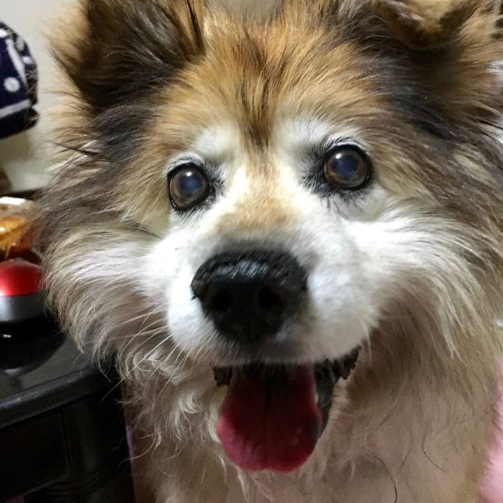 F2262d91 ba78 47b0 89dc 672e34494cb3 1562224321663