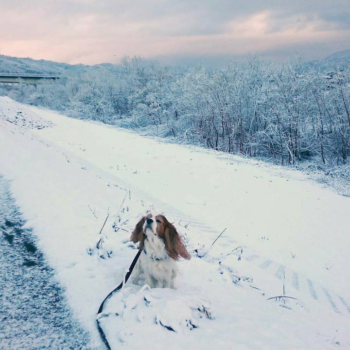 F226a697 990f 4da8 aebc c31ecf6853d3 1554157421582