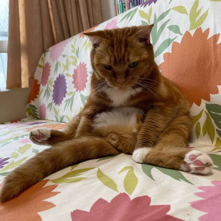 F226da93 e6b0 4b05 9425 a1db3e3d066b 1726973109342