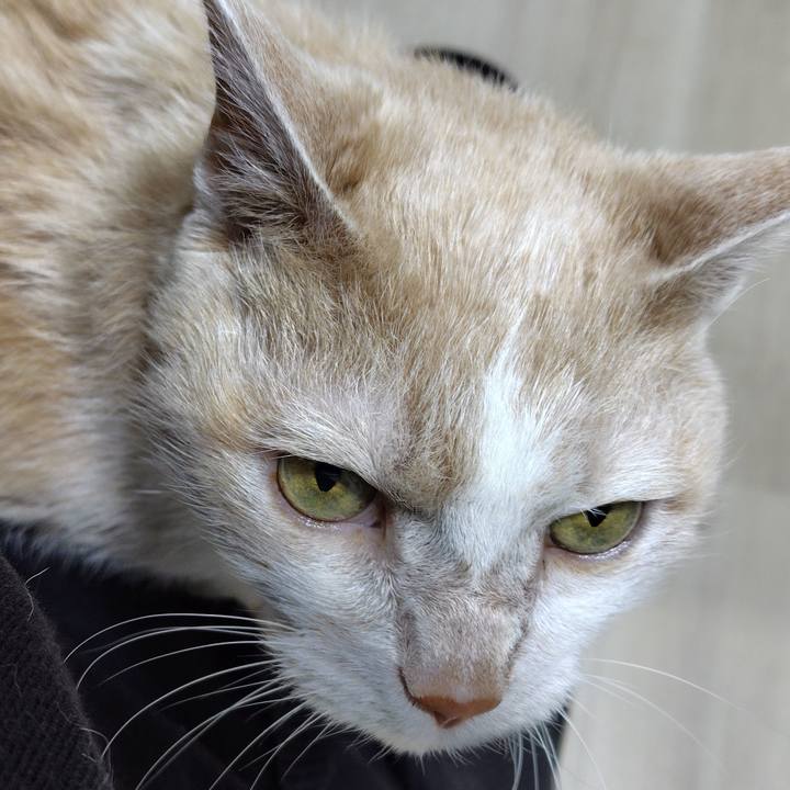 F226e090 397a 4d7a a081 dc252b50af79 1744366153306