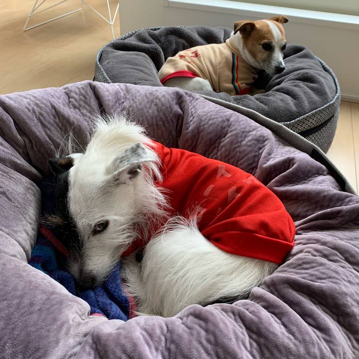 F226f802 fcc2 4b01 84c0 b407f74b85f1 1641869878005