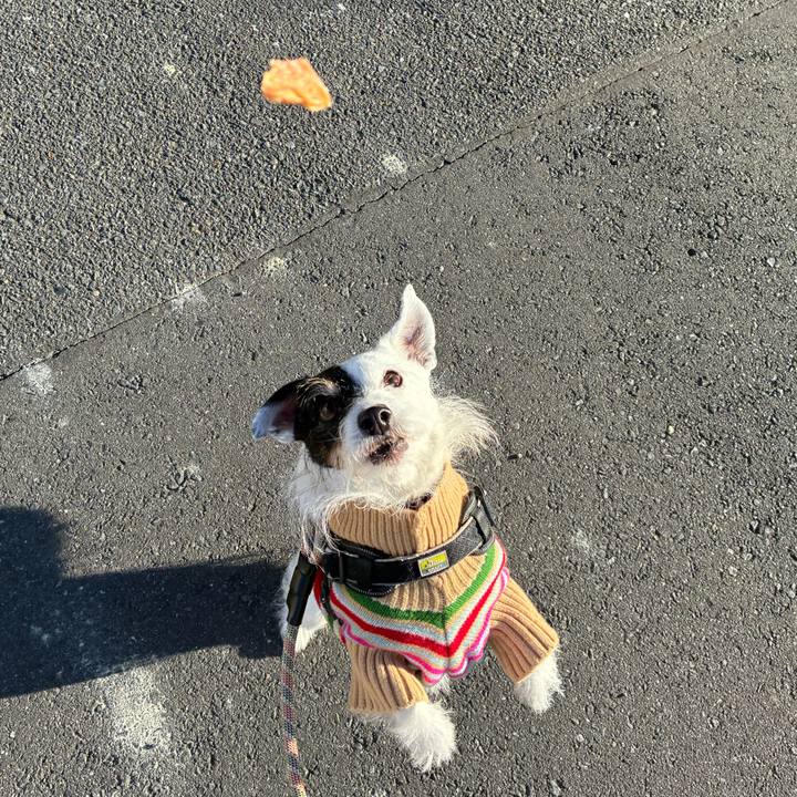 F22705f2 0157 443d ba5a 811512d0483a 1764890322774