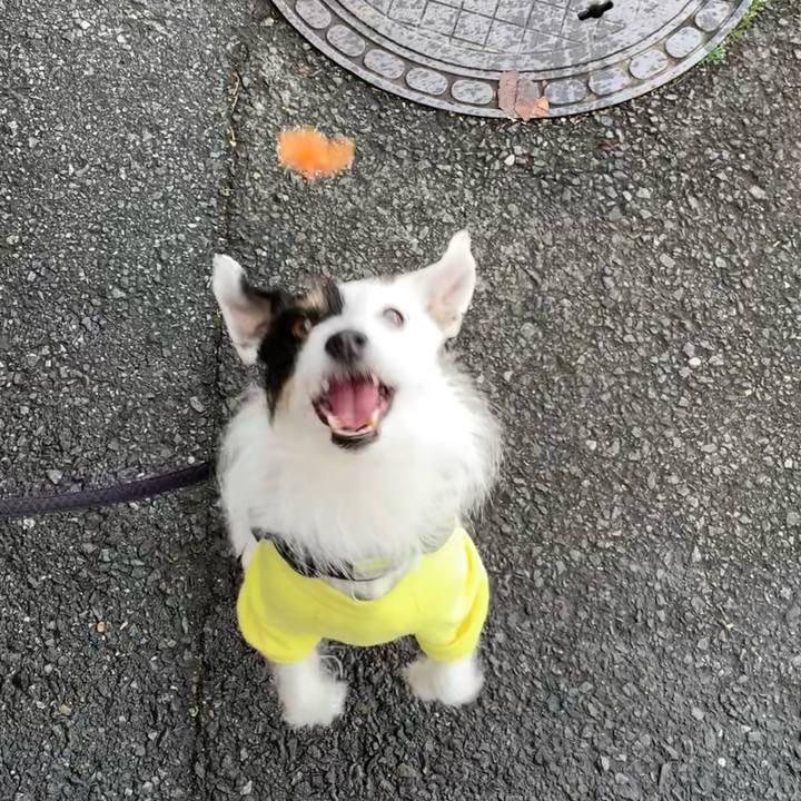 F2273157 ed6f 41b4 a13f d3409789a301 1679617963550