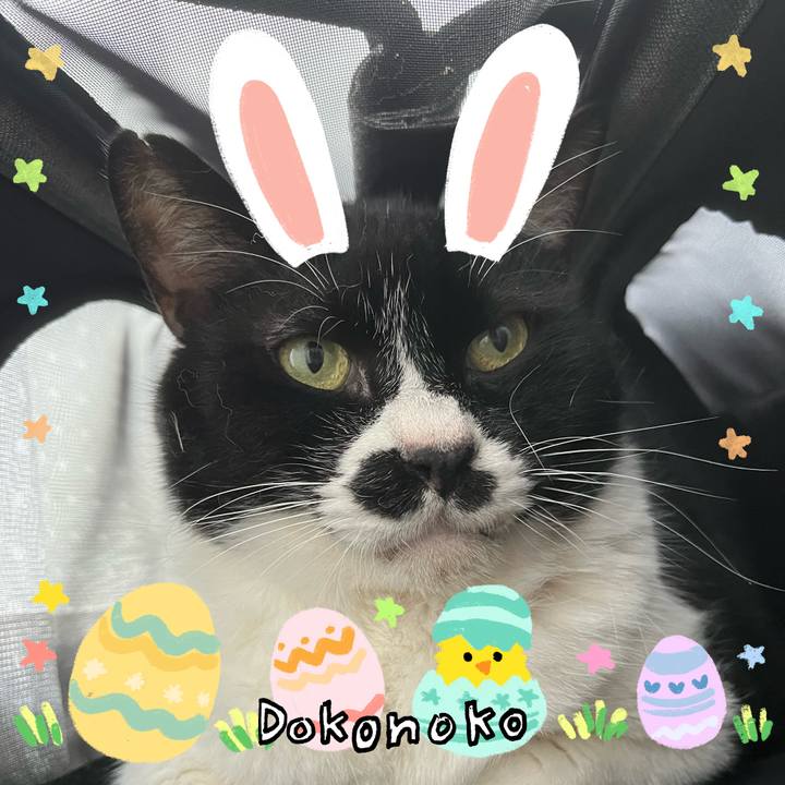 F22754d1 8caa 4315 8fda ed36b970237f 1712223381446