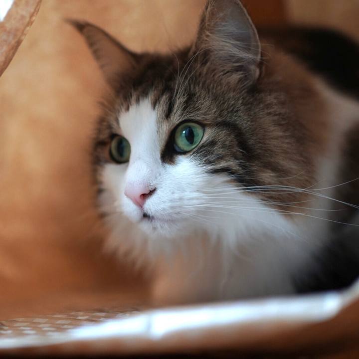 F227b63e f0b7 4d28 8776 4dc2d4ca0630 1579661183008