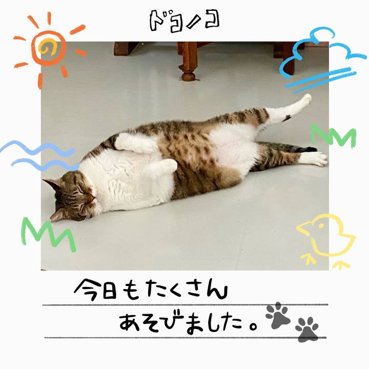 F227bd77 c8bb 4246 8a01 b0dc5b9ae6bd 1755092355557