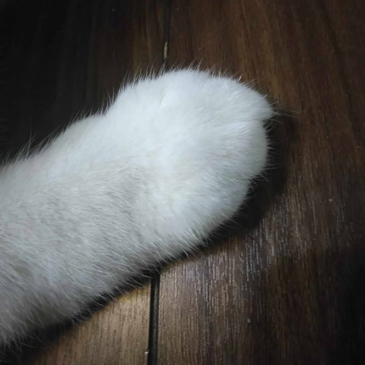 F227fed2 7654 4d16 a5bf 5e7d8b084399 1710767628462