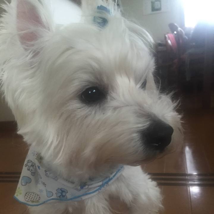 F2286e67 8649 4f50 be86 3c81112b0d14 1517374425971