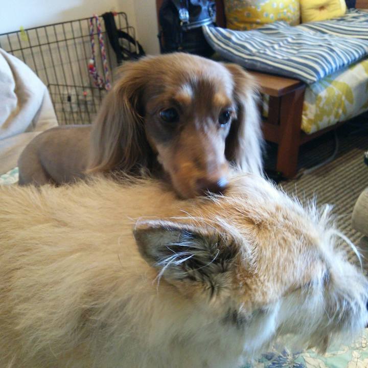 F22899bd 46ff 43d2 9dff 3a98f78639f0 1531888146245