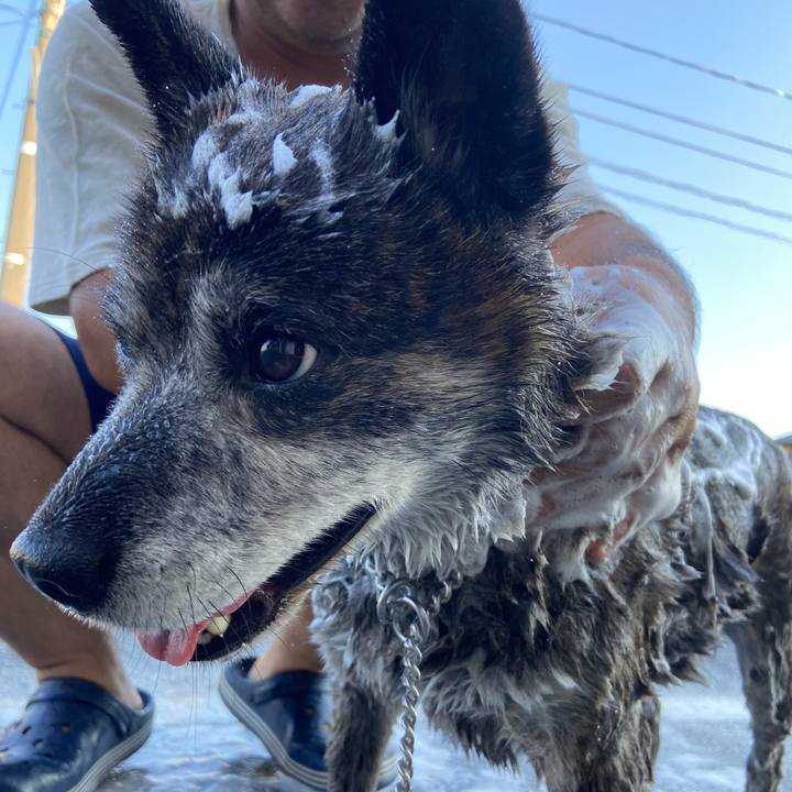 F228b4f7 0d5b 4a9b 86d2 ed760736b4ed 1690066683410