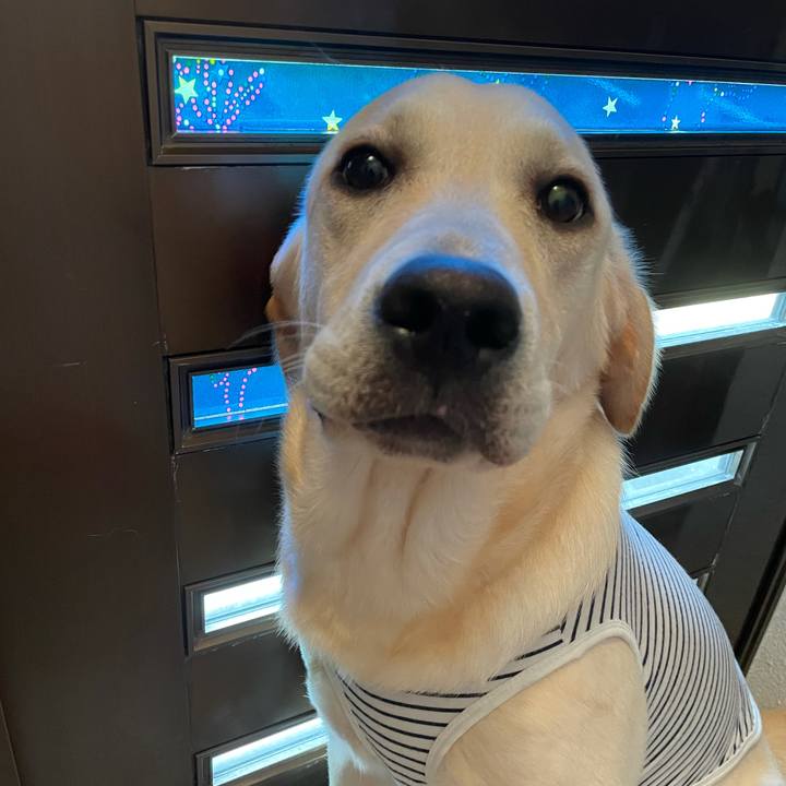 F228c2af 6bc4 46f6 bfa3 17d2a7e07e47 1623987537214