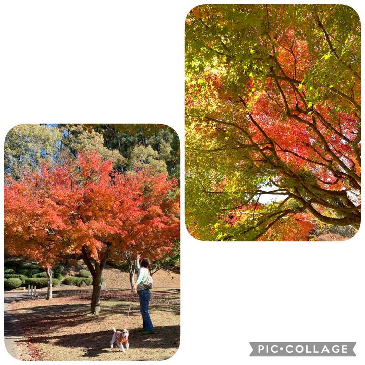 F228d81f 4c00 40cb 8894 77e3cc38ab1e 1636809571228