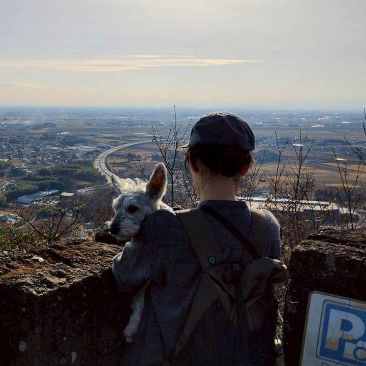 F228eb13 5f44 4d01 89dd 254f6dbdaf33 1765631414314