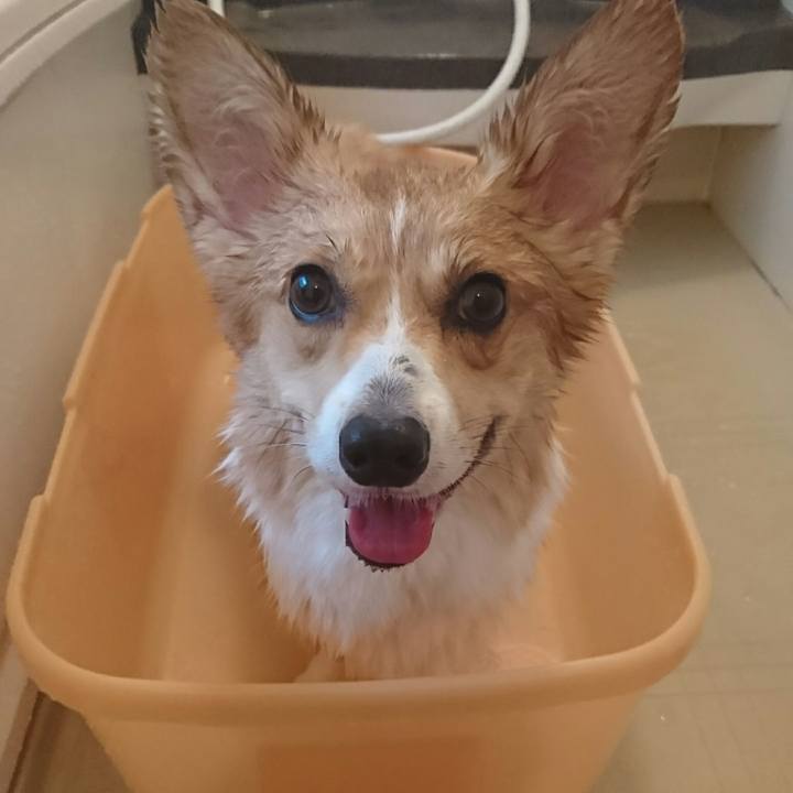 F228eb54 e2b0 4978 bc1c 25c7fc0cc119 1533634612589