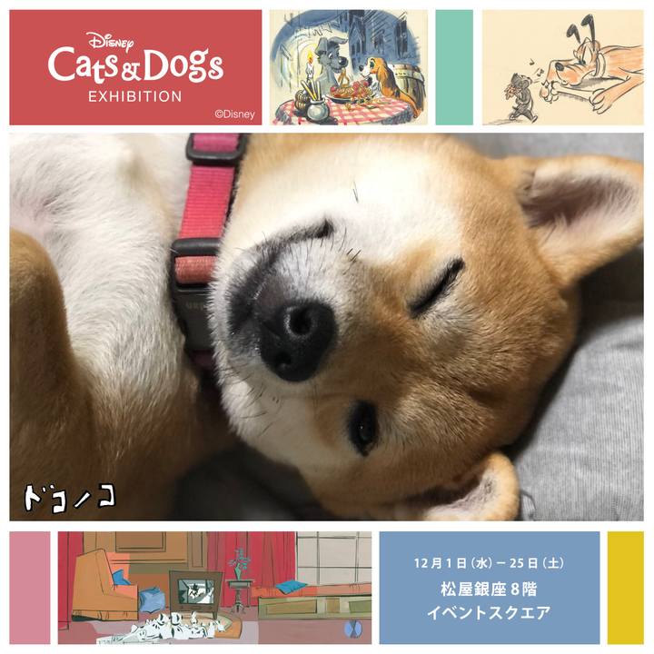 F228f27f 6b56 4b47 8137 473d67dcb3f4 1638550876594