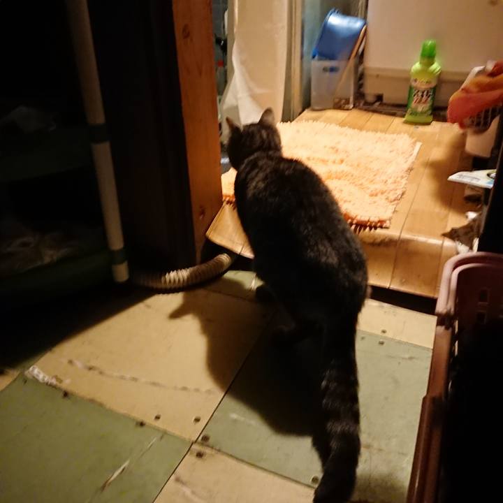 F228ff63 dfc6 4734 8e57 a576ce11ed1b 1580980604379