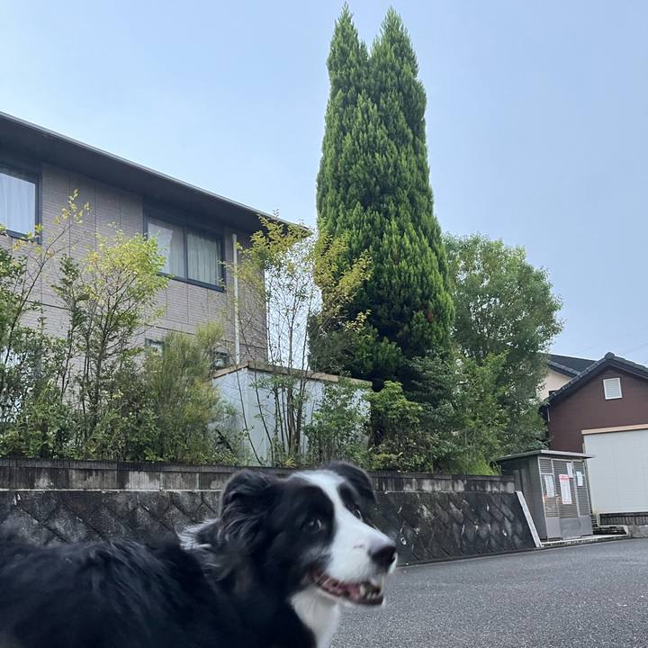 F229366f e78c 43c7 b016 e65b50c0831c 1759622187124