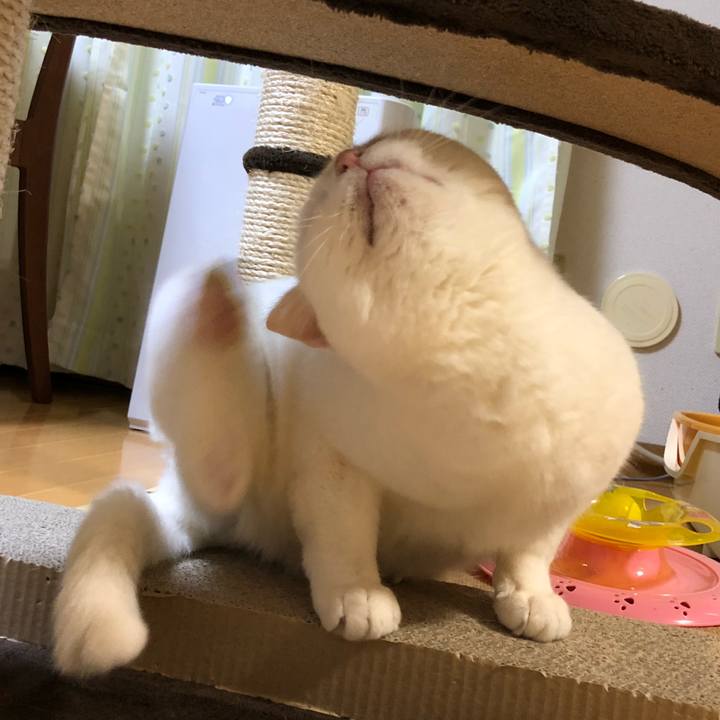 F229375a eb2e 452f a4ed c36619d7ac34 1525145382942