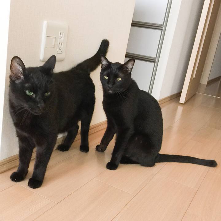 F2295d22 1d8c 4333 a128 26e49b808ab3 1534666407406