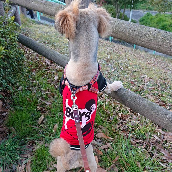 F2297a6e 9a52 48aa aa5a b420a27816a9 1552735225735